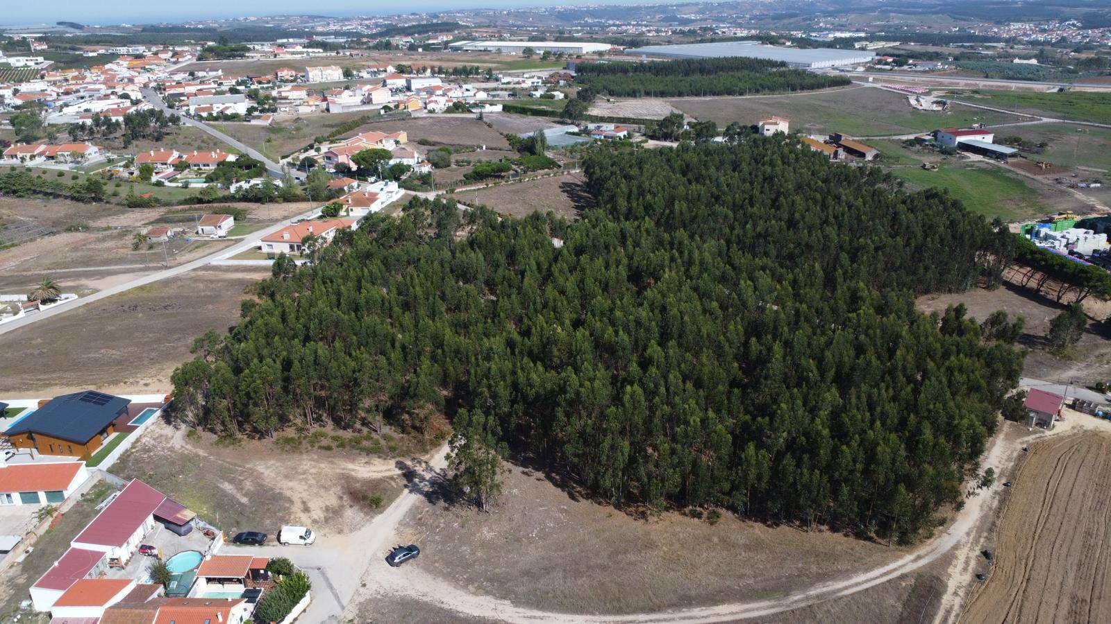O terreno em Palhagueiras